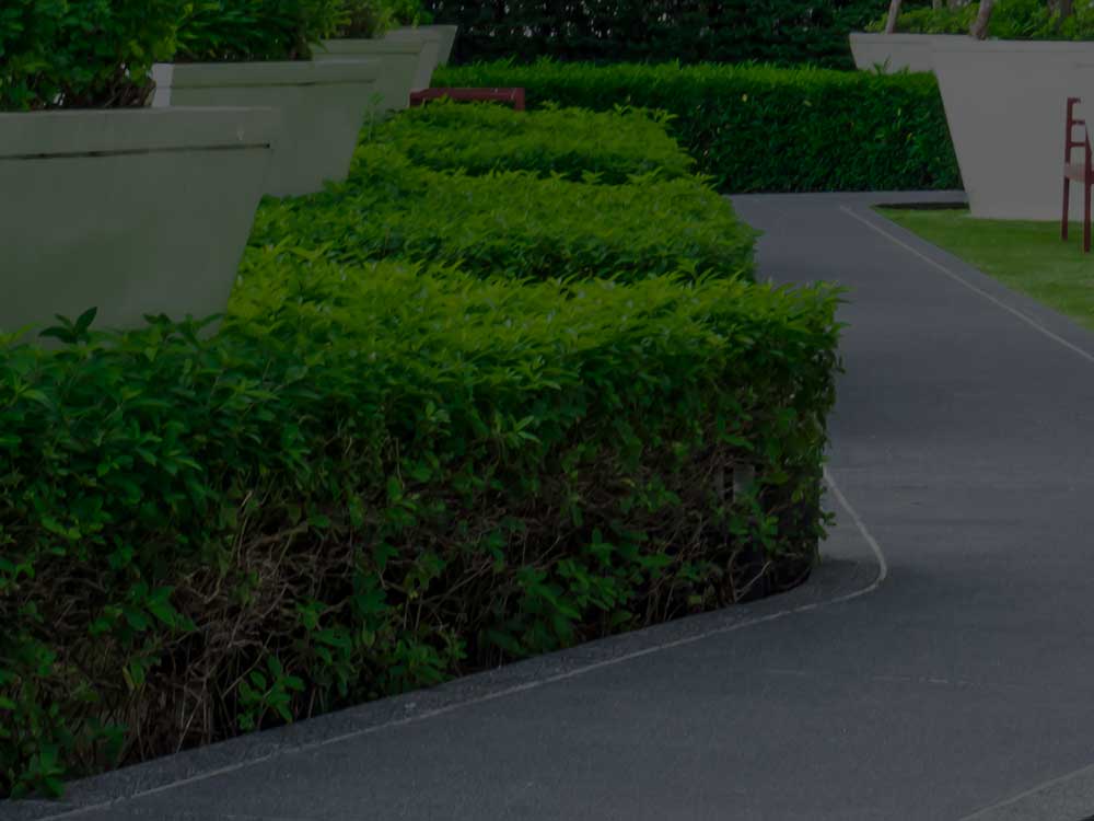 Phoenix Commercial Landscaping