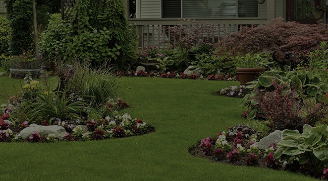 Phoenix Landscape Service