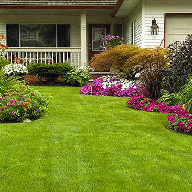 Sergios Lawn Services's Landscaping Gallery