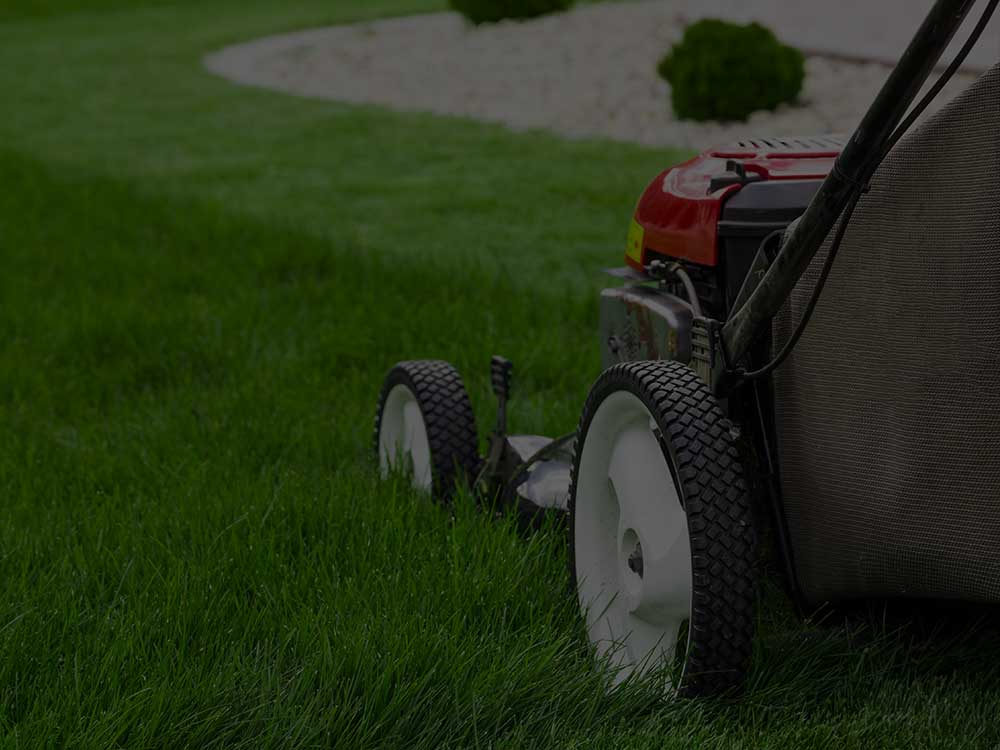 Chandler Lawn Mowing