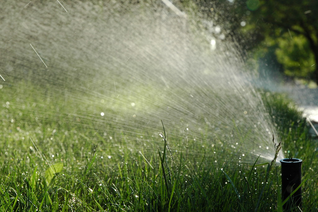 Efficient Irrigation: Why Proper Watering Systems Are Essential for Lawn Health